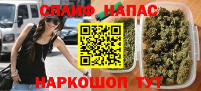 индика Лесосибирск