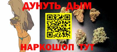 индика Лесосибирск